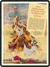 Dekalb Seed Acres Of Gold Ad 9" x 12" Metal Sign