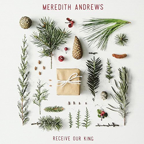 Meredith Andrews Meredith Andrews - Receive Our King (CD)
