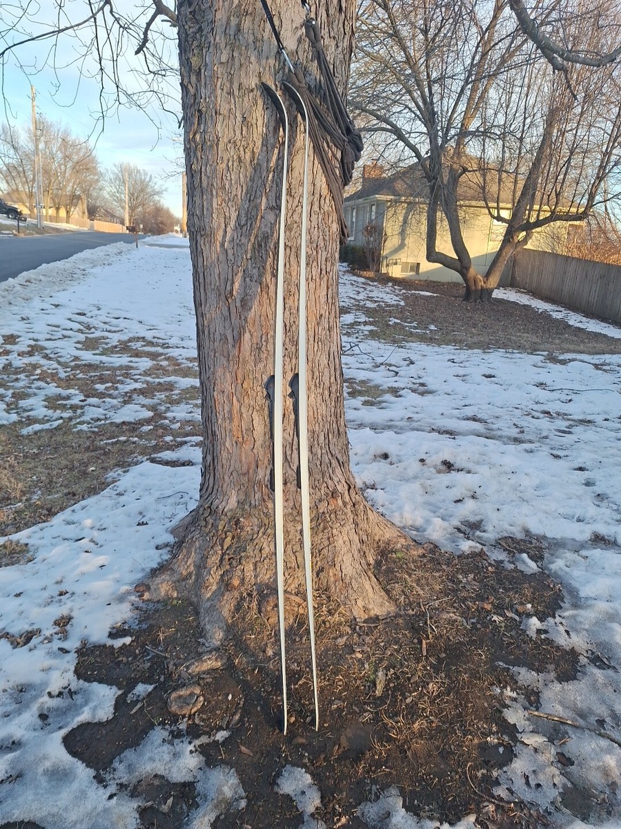 カルフ KARHU URSA ハーフエッジ 175cm スキー板 Karhu Prism Cross Country Ski 200cm Bear Claw Waxless Base Wood