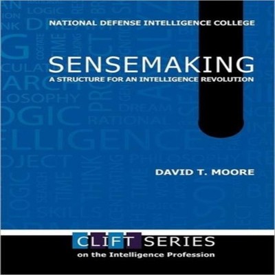 Sensemaking A Structure for an Intelligence Revolution David T. M