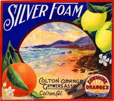 Colton Silver Foam Seashore Orange Lemon Citrus Fruit Crate Label Art Print