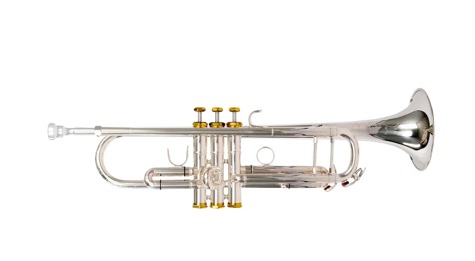 Trompeta Wisemann DTR-800SG, acabado plateado, Bb, con estuche y boquilla Foto 4 de 4