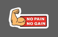 No Pain No Gain Sticker Flexing Waterproof Gym Workout Muscle Gift NEW