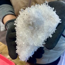 1.6LB New Find White Phantom Quartz Crystal Cluster Mineral Specimen