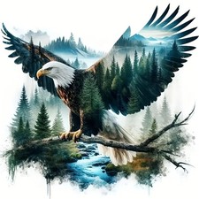 Diamond Art Kits for Adults,Eagle Diamond Painting Kits for Beginner