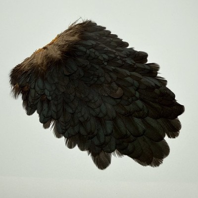 Soft Hackle Hen Saddle Patch Fly Tying - Black
