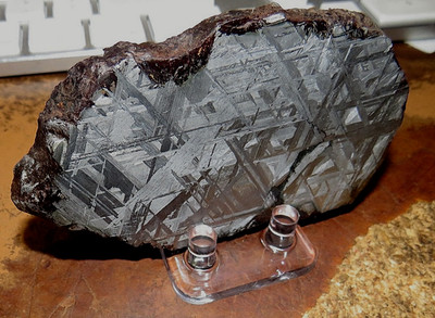 large 223 gm. muonionalusta meteorite SLICE etched  sweden std  slab .5#