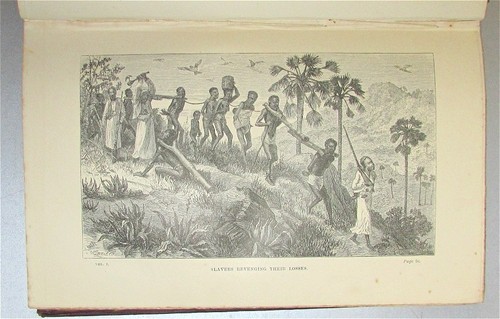 LAST Journals of DAVID LIVINGSTONE In Central Africa From 1865 To His Death 1874 - Picture 3 of 3