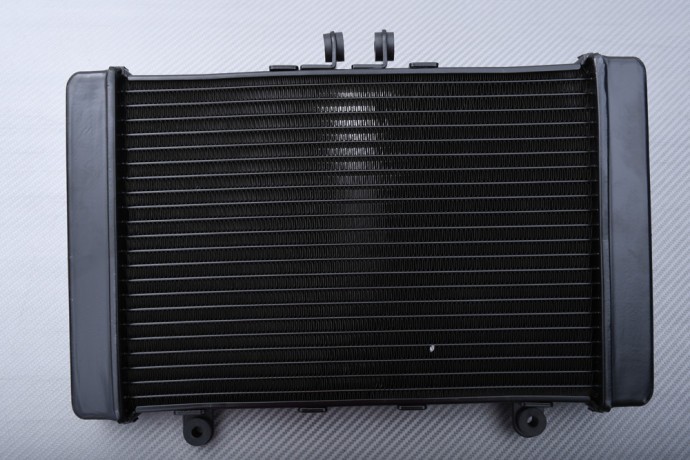 Radiateur eau alu HONDA CB 1000 SC30 idéal pour la révision et l'entretien moto