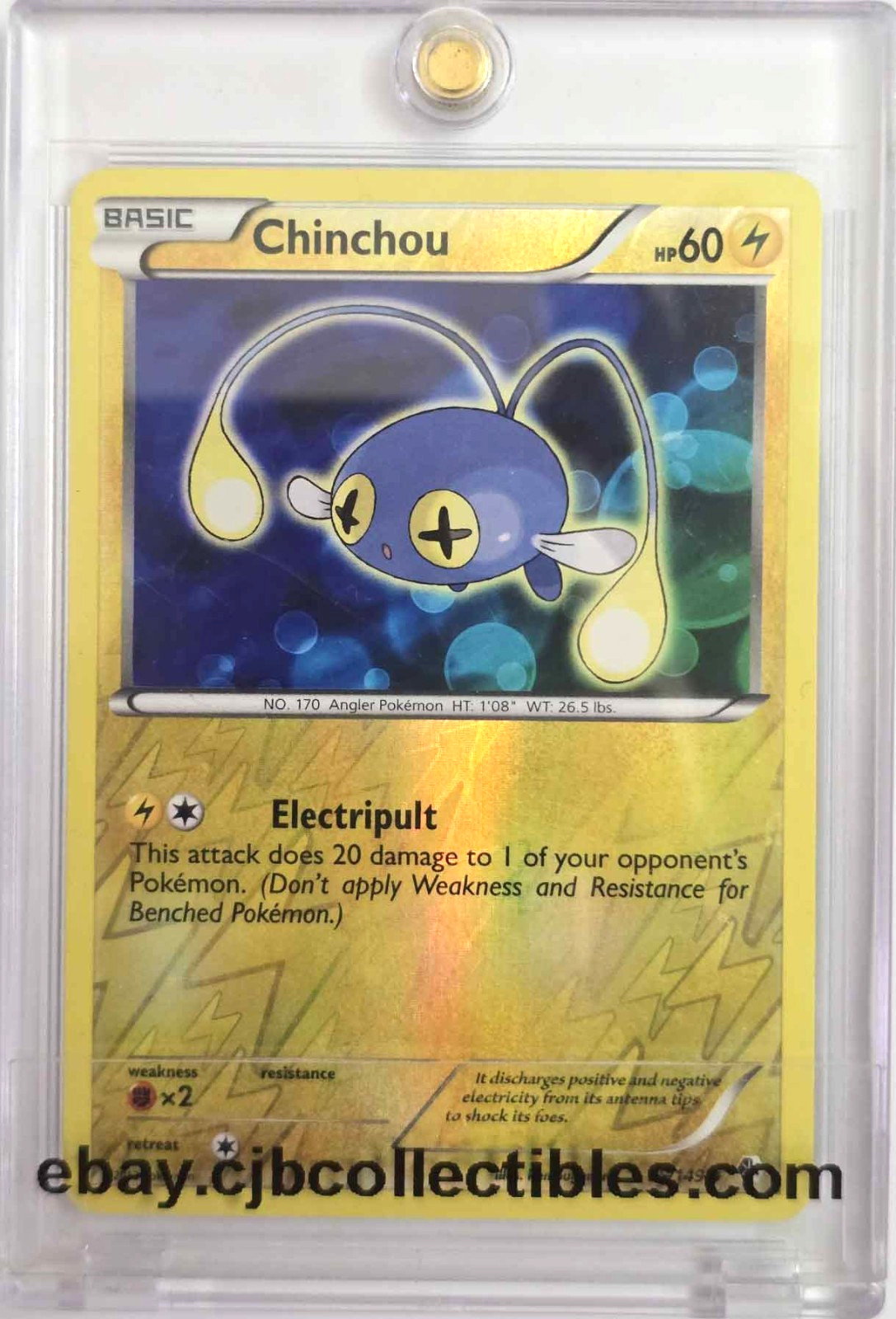 Pokémon CHINCHOU 55/149 Reverse Holo Boundaries Crossed - Light Play 🍒