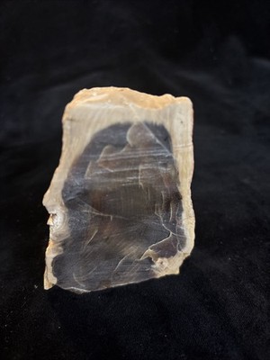 ~RW~ POLISHED (TWO FACET) ''PETRIFIED WOOD STANDUP SPECIMEN'' ~