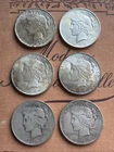 Peace Silver Dollar Lot of 6 🇺🇸