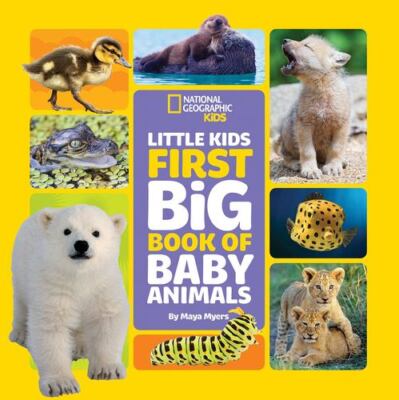 Little Kids First Big Book of Baby Animals (First Big Books) by Myers ...