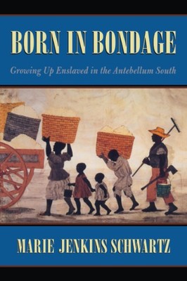Born in Bondage: Growing Up Enslaved in the Antebellum South