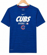 Chicago Cubs Collecting and Fan Guide 40