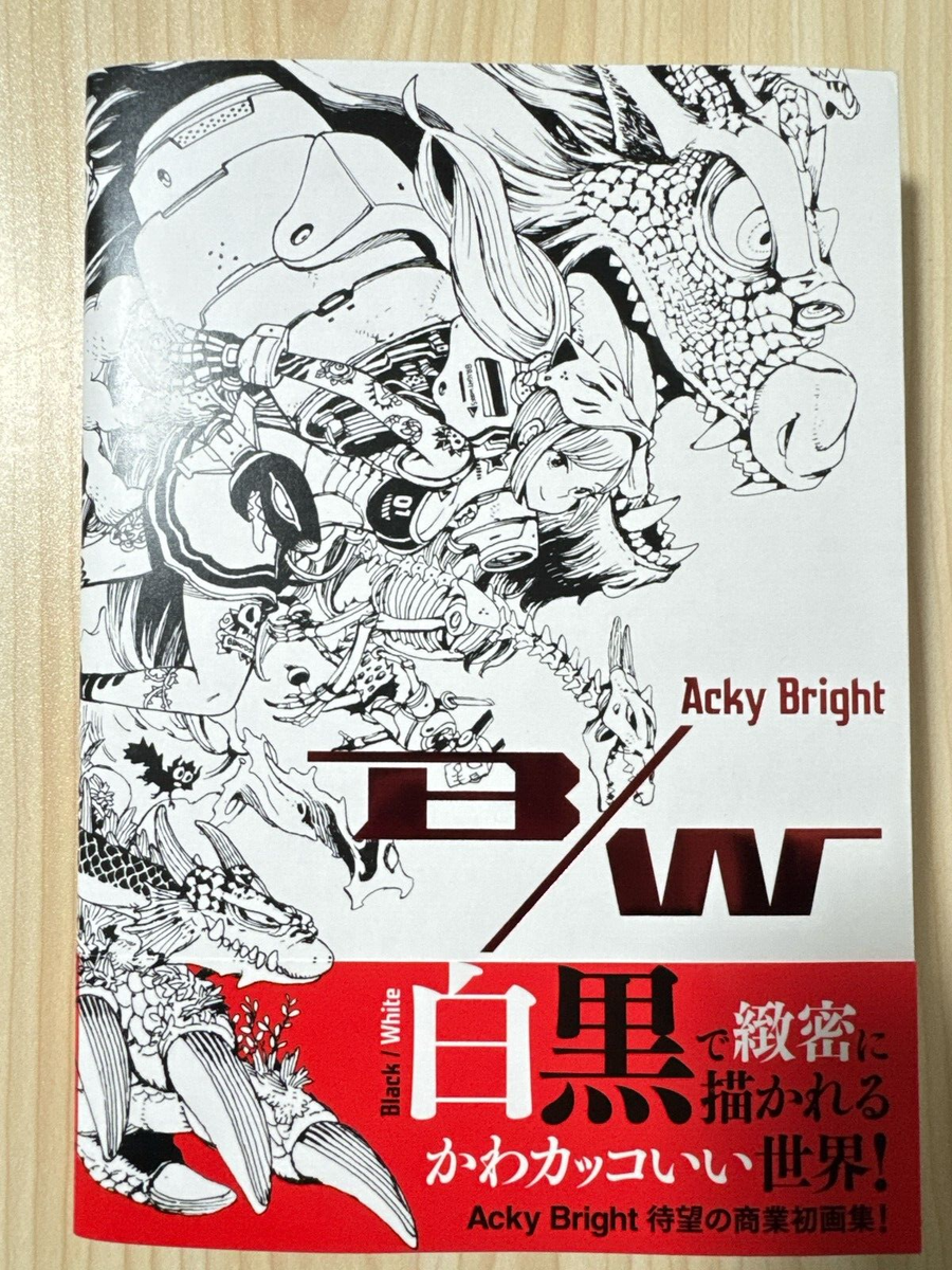 Acky Bright B/W Art Book | eBay