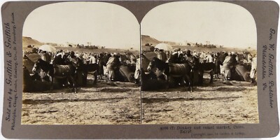 Ägypten.Egypt.Kairo.Kairo.Markt Anes & Kamele.Markt.Stereoview.Stereoansicht 