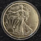 2015 American Eagle - $1 - 1 OZ. Silver Coin - .999 Fine Silver - Capsuled