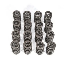 16X Valve Spring Kit Fits for All LS Engines - 625" Lift Rated PAC-1219 PAC1219