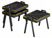 Schwarzes Holz Couchtisch-Set Modern Und Stilvoll