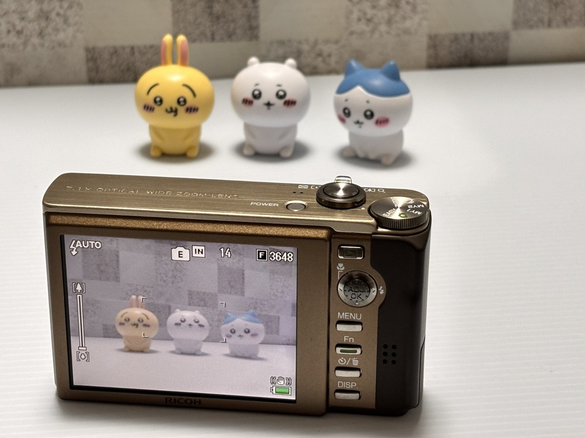 Ricoh R10 10.0 MP Wide Angle 7.1x Compact digital Camera - Brown