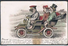M048 Humanized DRESSED CAT Kitten KATZE CHAT AUTOMOBILE CAR Fine LITHO 1904