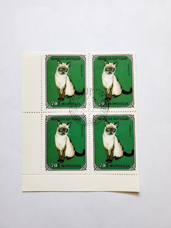 Mongolia, Block Of 4 stamps, Clean. Cancelled, 1979. Cats On Stamps! 