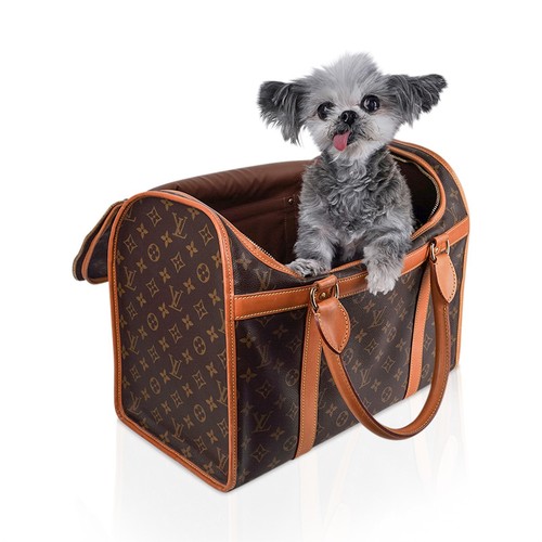 louis vuitton dog carrier