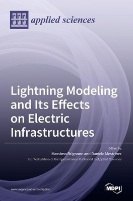 Massimo Brignone Dan Lightning Modeling and Its Effects on Electric I (Hardback)