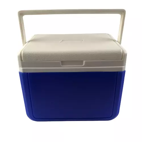 Best 2025 small esky