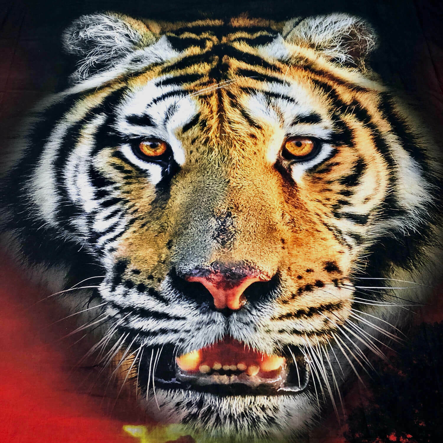 Bettwäsche Tiger Digitaldruck Wildkatze Raubkatze Sonnenuntergang Savanne Afrika