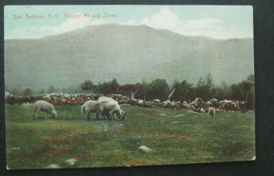 Ragged Mountain & Sheep East Andover NH 1912 F E Putney 33291