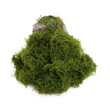 Dark Green Simulated Moss, Artificial bryophytes, Suitable for Moss Decoratio...