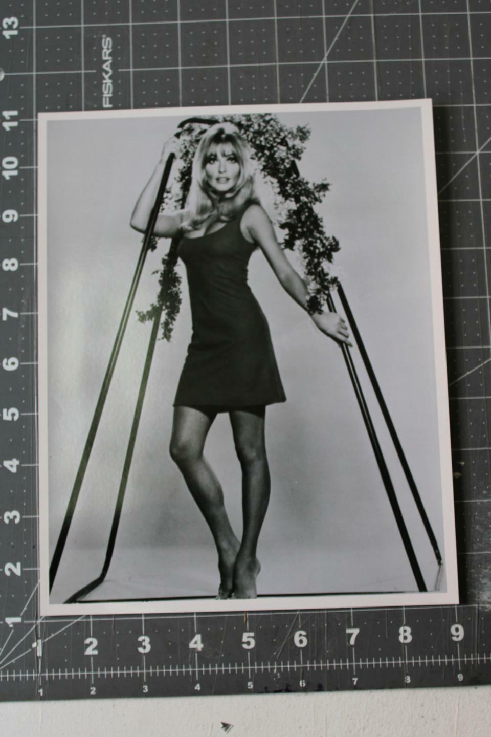 Sharon Tate Glamor Photo 5 ☆ very popular Sales of SALE items from new works Reprint Beautiful 8x10 VF Still