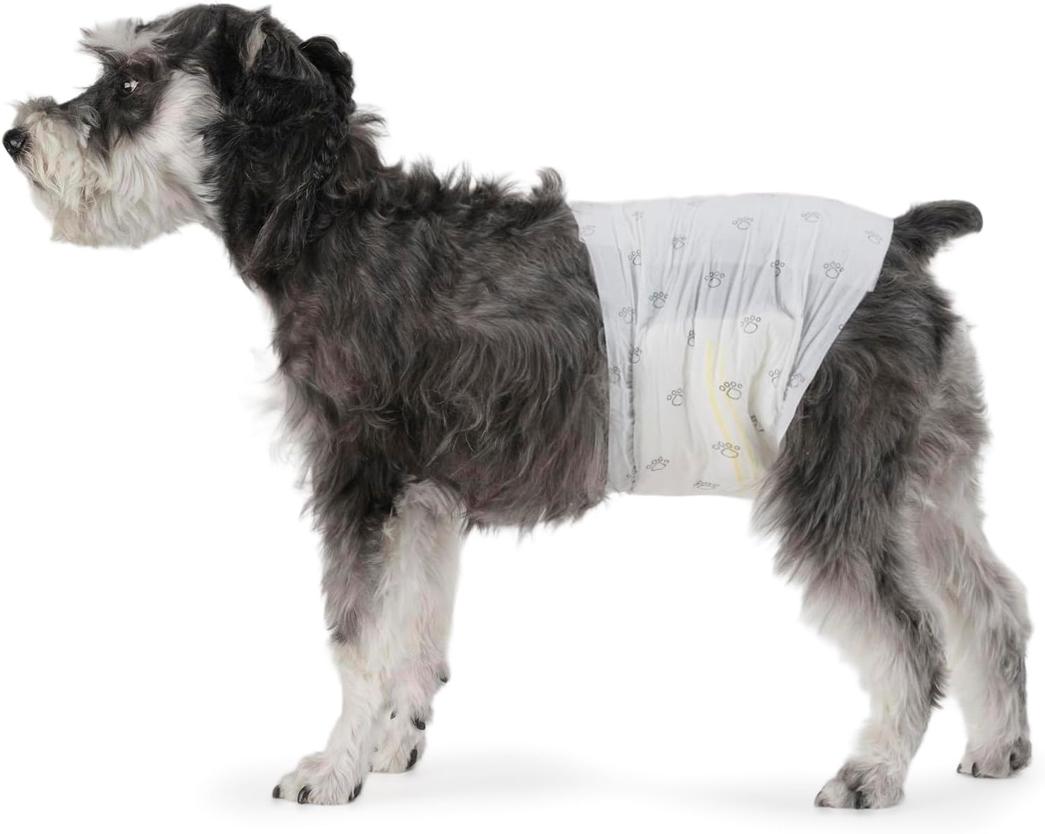 Pannolini per Cani Maschi M - 50 Fasce Addominali per Viaggi e Casa