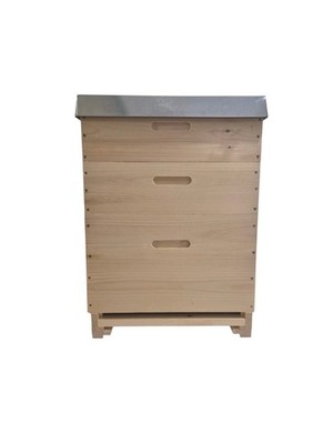Dadant US 12 er (Modifiziert) Bienenbeute, Weymouthskiefer, Flugbrett 