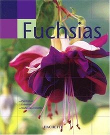 Main verte : Fuchsias von David Clark | Buch | Zustand gut