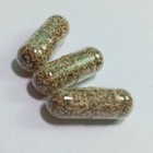 Moina Macrocopa eggs cysts Live Fish Food guppy protein water natural sour 3 Cap