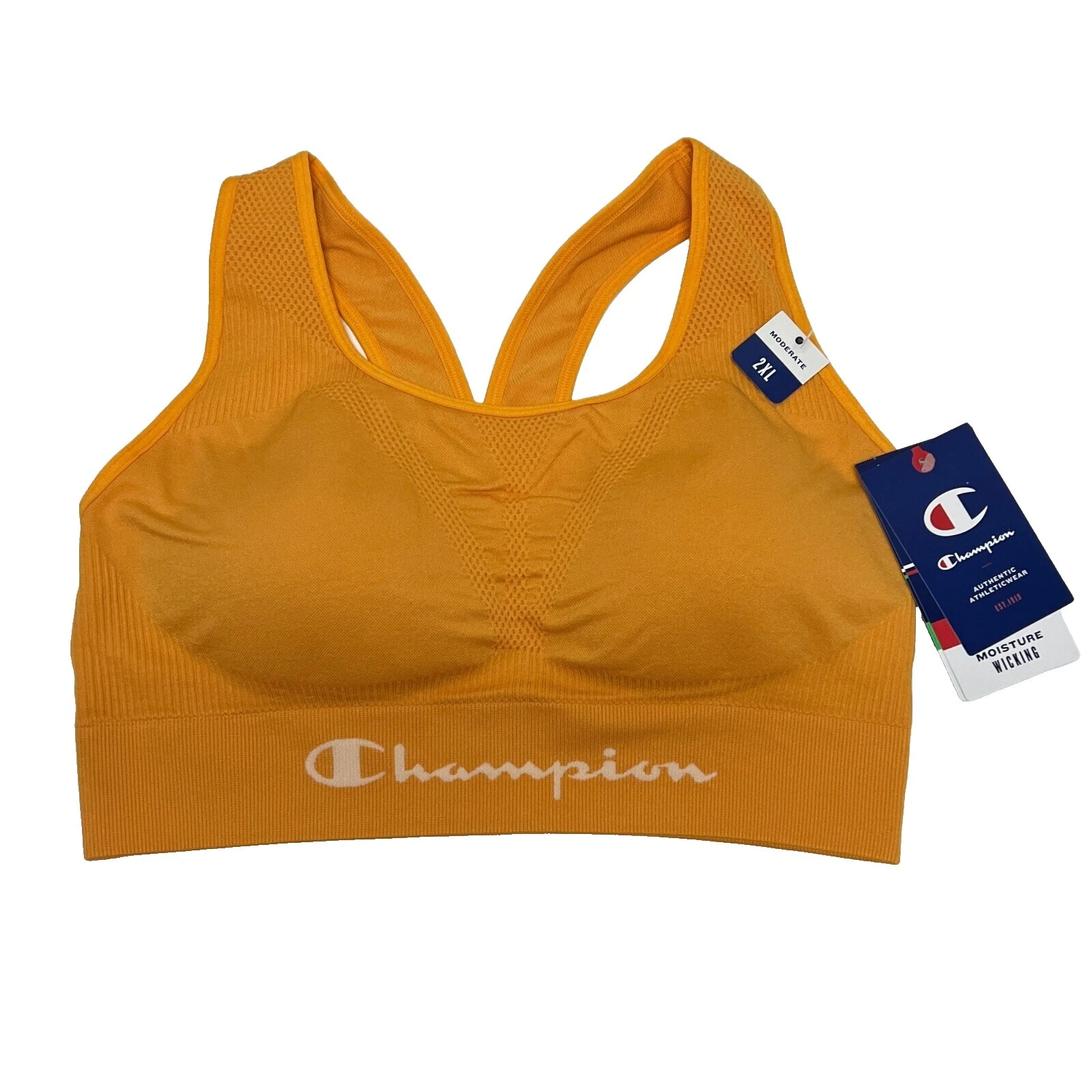 Champion 2XL Band Sports Bras