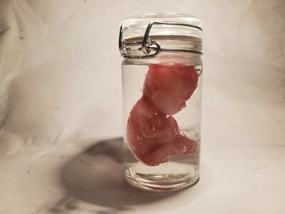 Horror movie prop silicone fetus in a jar human baby oddities gaff freakshow 
