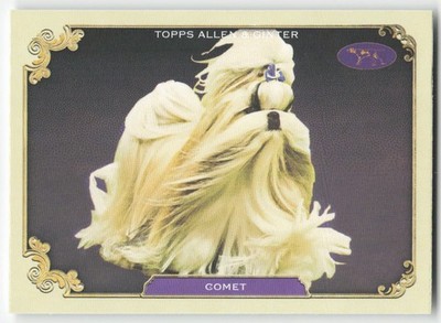 2024 Topps Allen & Ginter #SOS-30 Comet Stars of Show Westminster Kennel Club
