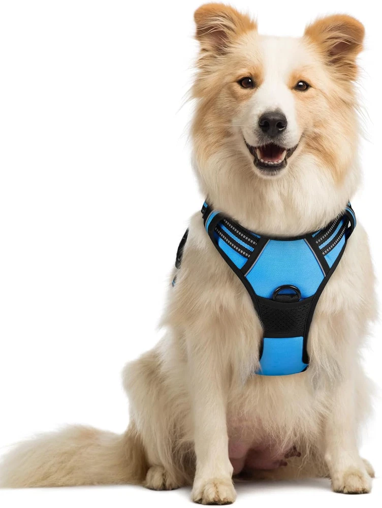 Dog Harness No Pull with 2 Leash Clips, Adjustable Soft Padded, Reflective Oxfor