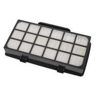 Hepa Filter Zr920101 Rs-Rt4310 - Staubsauger