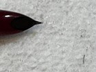 Parker 21 Fountain Pen, Red — photo 5
