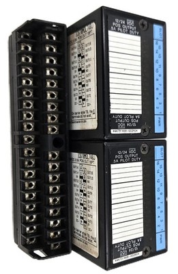 GE FANUC IC670MDL740J IC670CHS001E POS OUTPUT 5A PILOT DUTY FAST SHIPPING