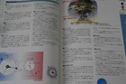 Foto 7 di 12