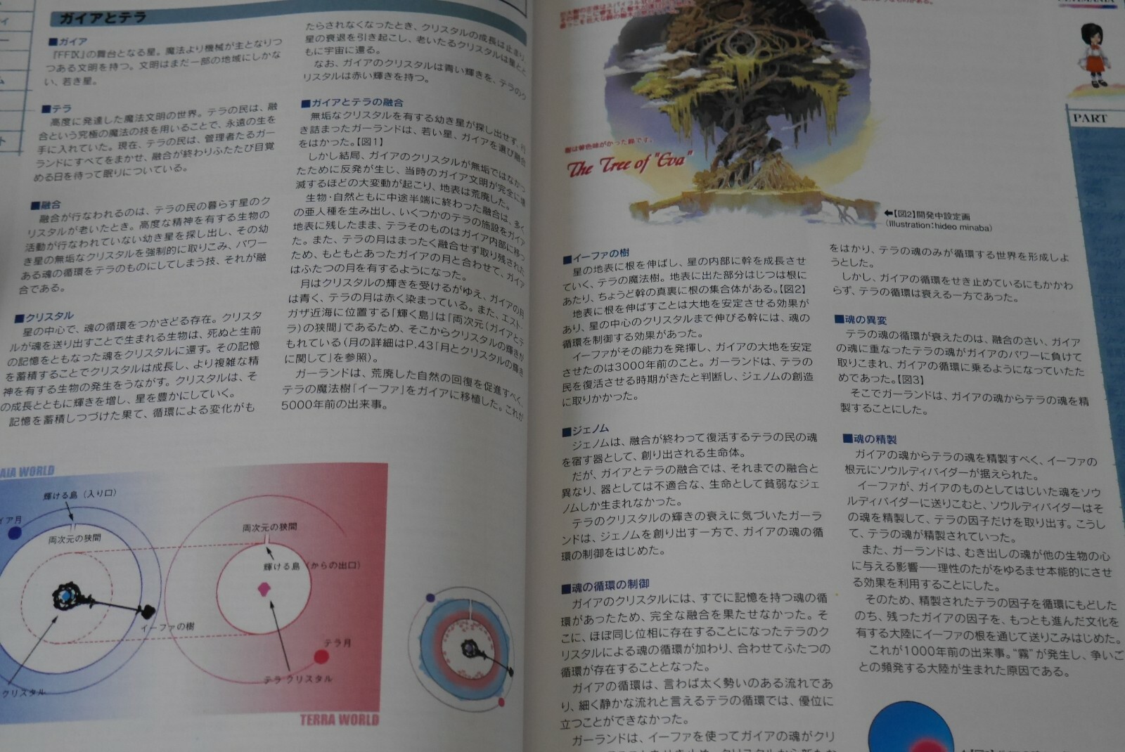 Foto 7 di 12