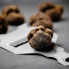 Precious Italian fresh black truffles. Black truffle 240g. 8.5 oz. Mushrooms.