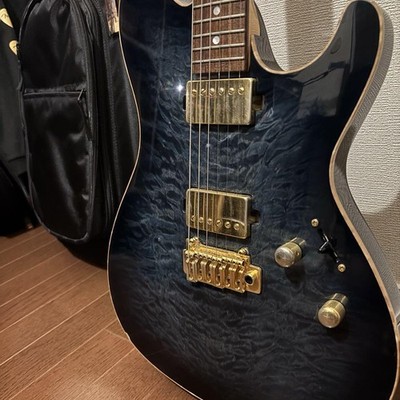 Sugi Guitars DS496 IR セミハードケース付き Sugi Guitars Ds496 Ir With Semi-Hard Case Safe delivery from