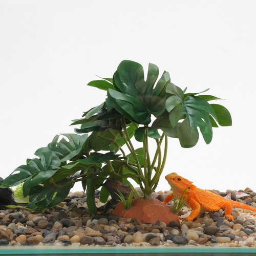 Terrarium Pflanzen Natur Look Felle Bartagame Panzer Zubehör - Bild 4 von 9